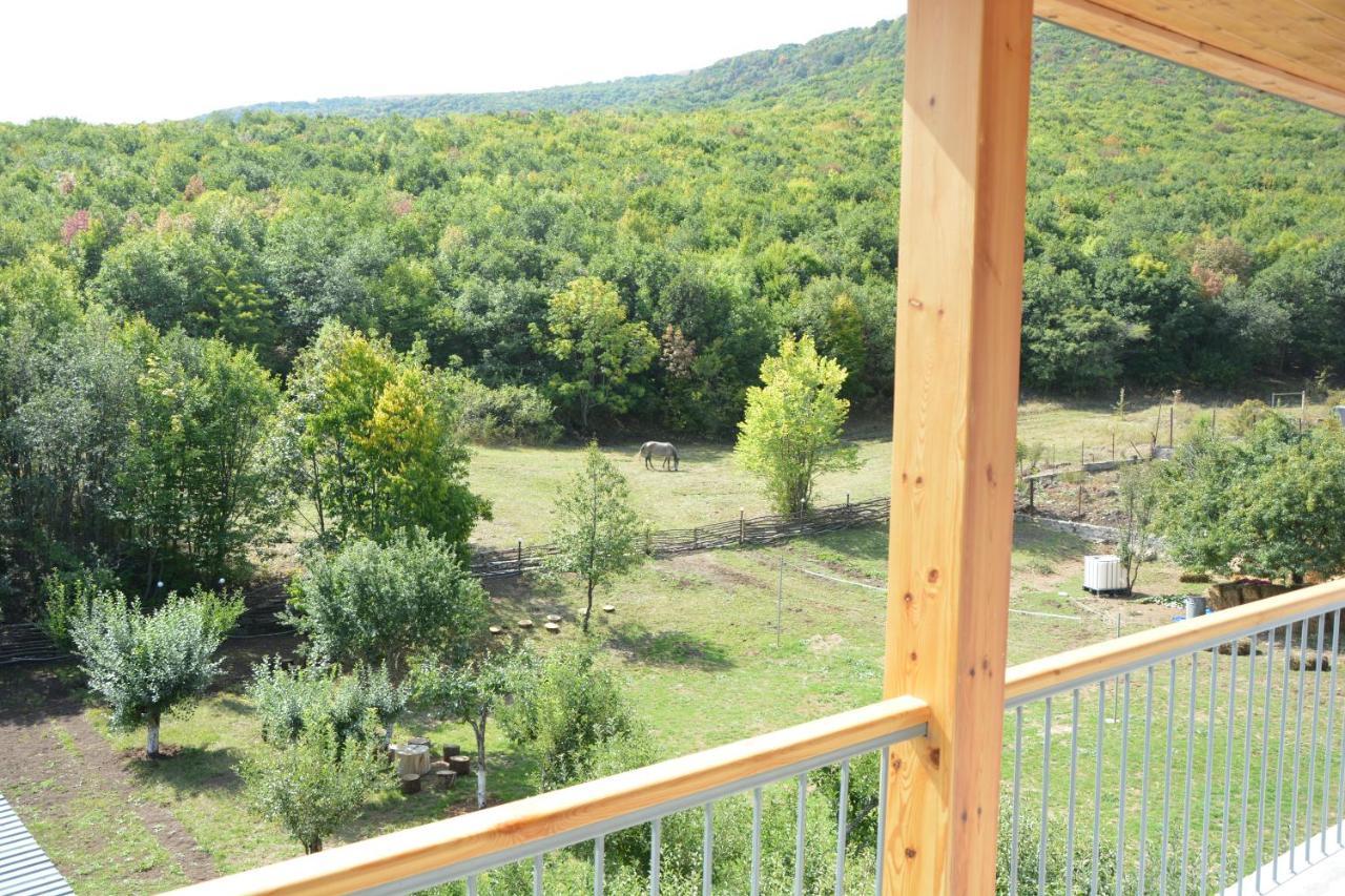 Vardeni Guesthouse Hrazdan エクステリア 写真